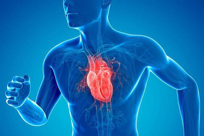 تخصص أمراض القلب: