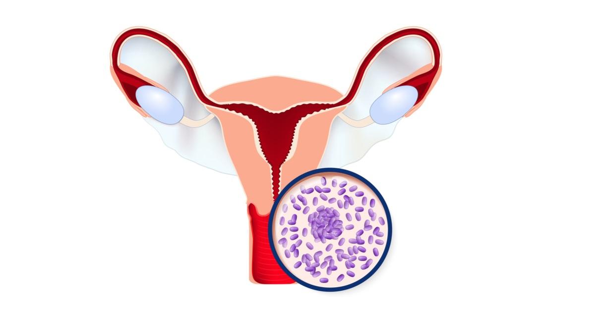 د. منيرة المغربي