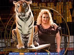 إصابة طفلة في السيرك بعد هجوم شبل أسد