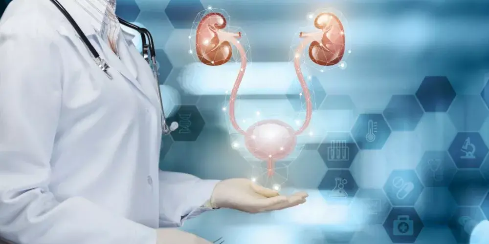 د. نسملة الغلبان