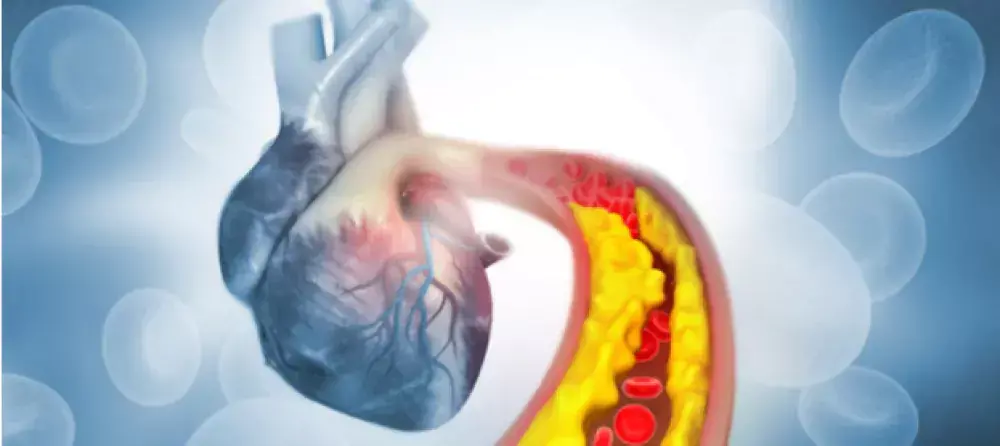 د. محمد عثمان