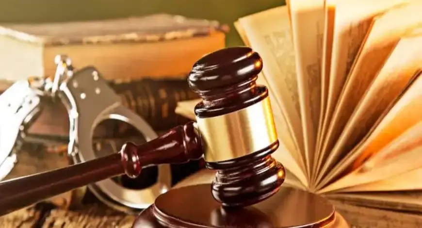 المستشار عصام عمر