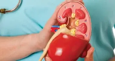 أعراض أمراض الكلى والمسالك البولية وطرق الوقاية منها