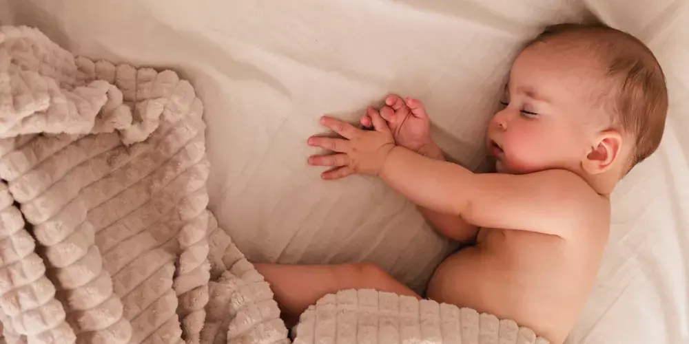 د. رضا القاضي