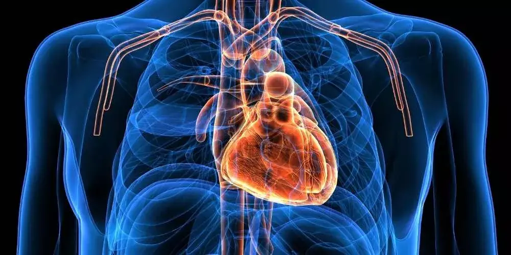 العلاج والوقاية من أمراض القلب 2026 وتحسين صحة القلب باستخدام أحدث التقنيات الطبية
