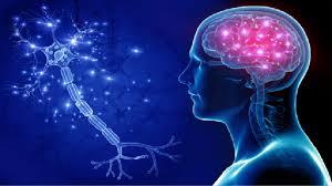 أعراض الزهايمر المبكرة عند كبار السن وكيفية اكتشافها مبكرًا