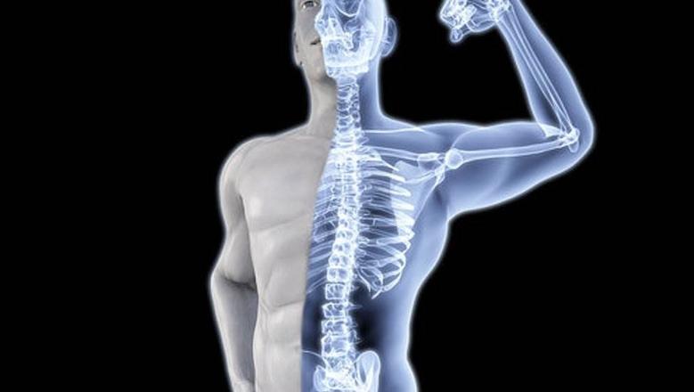 طب وجراحة العظام