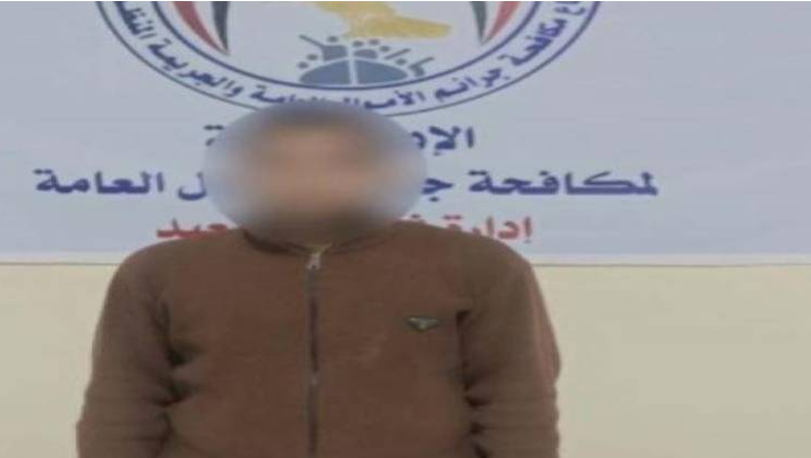 ضبط متهم بالنصب الإلكتروني في المنيا بانتحال صفة موظف بنك