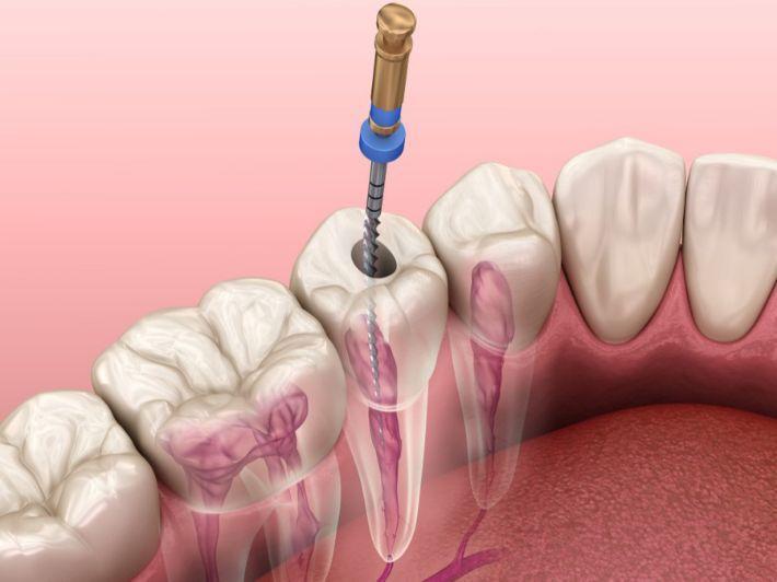  د. شيماء ربيع