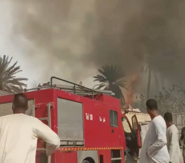 حريق كرم نخيل في إسنا بالأقصر