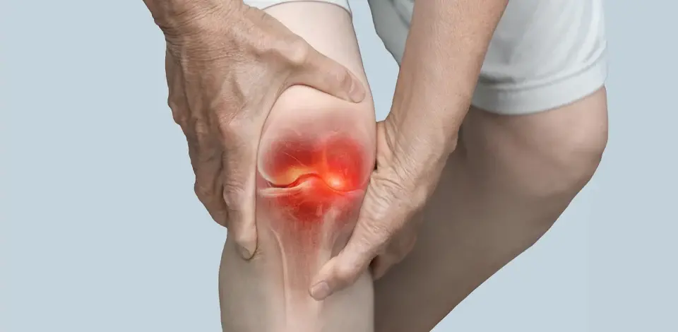 د/ دعاء صلاح عطا