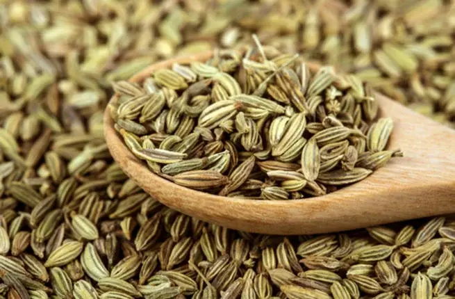بذور الشمر في وعاء صغير توضح فوائدها الصحية بعد تناول الطعام