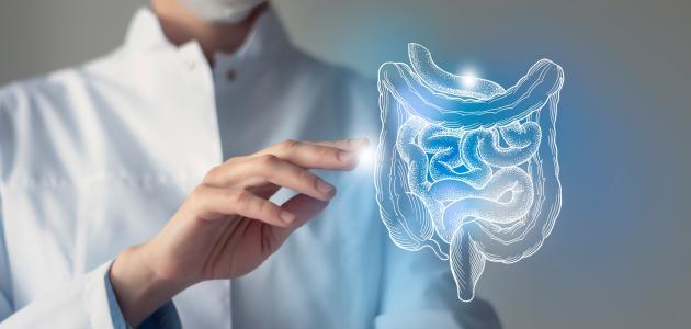 تخصص الباطنة