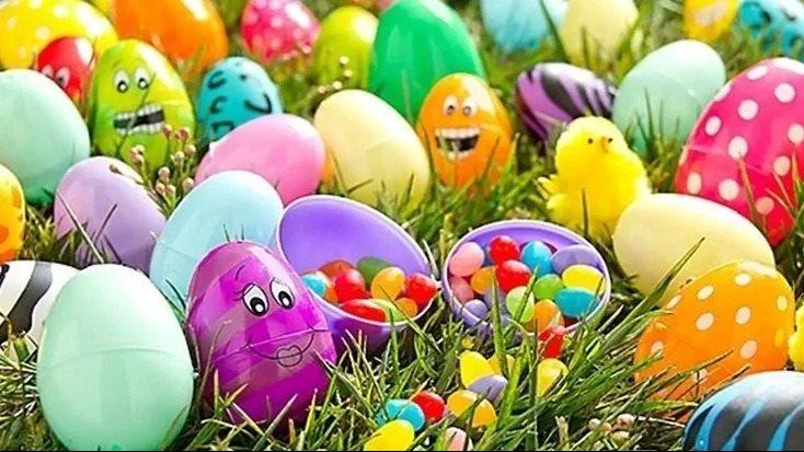 حكم الاحتفال بشم النسيم وأكل الفسيخ والرنجة وفق دار الإفتاء المصرية