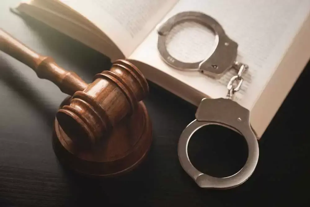 القضايا الجنائية والجنايات والجنح والطعون