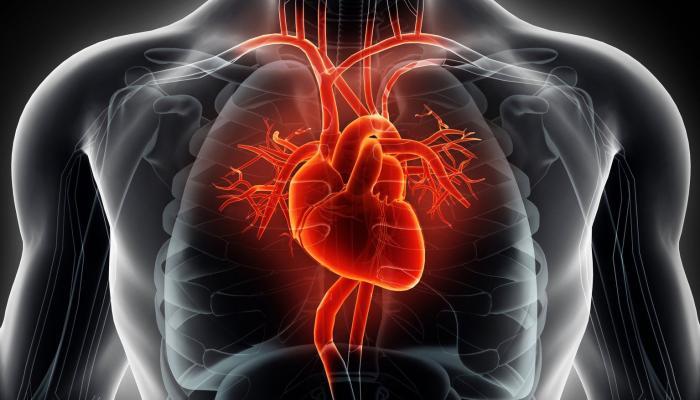 اضطرابات ضربات القلب في المقطم