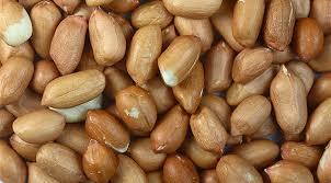 دراسة عن علاج حساسية الفول السوداني لدى الأطفال