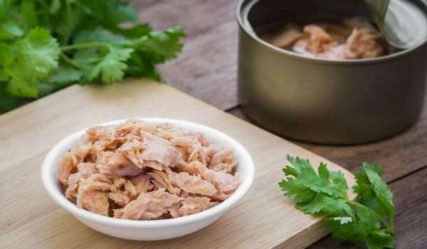 تونة غنية بأوميجا 3 للوقاية من السرطان