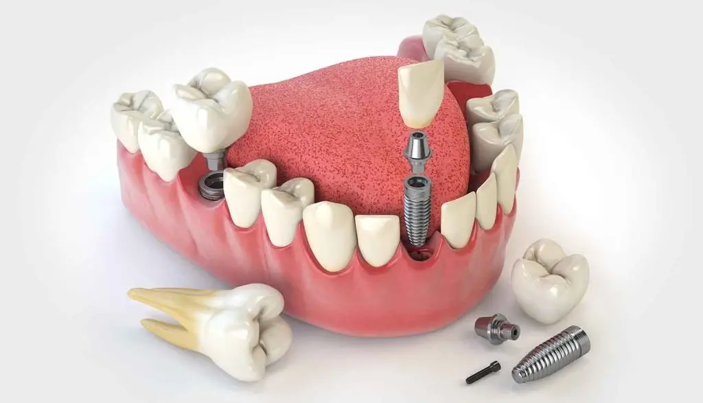 دكتورة شيماء ربيع محمد علي