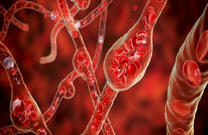 مكملات المغنيسيوم والزنك لتحسين صحة القلب والكوليسترول