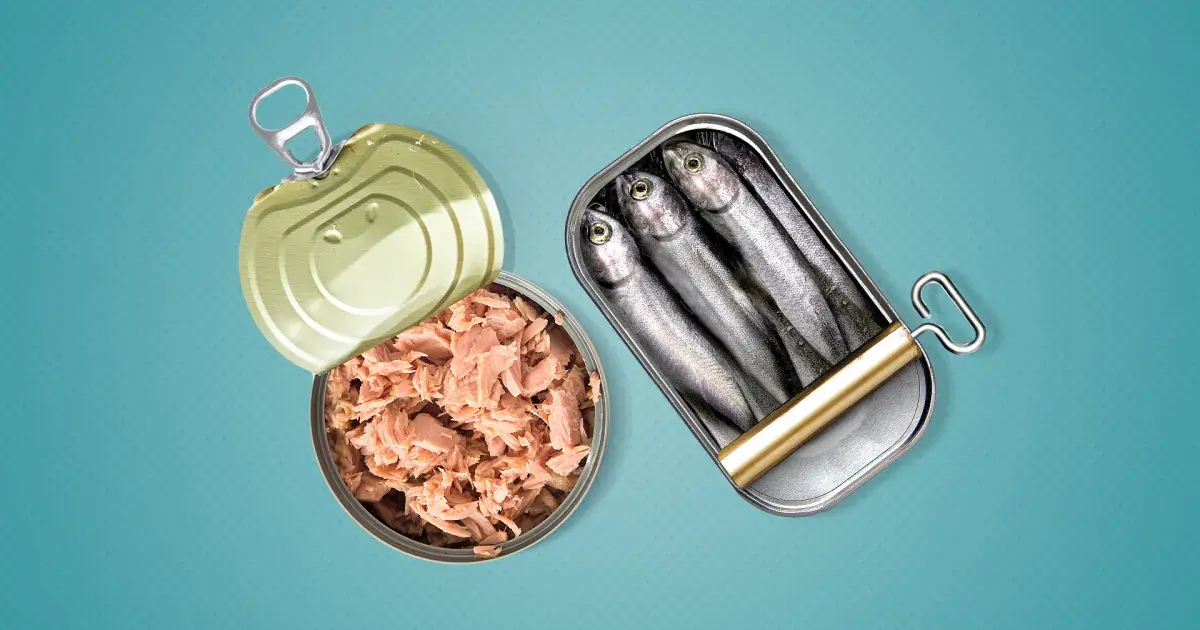  السردين والتونة مصدران غنيان بالأوميجا 3 والبروتين