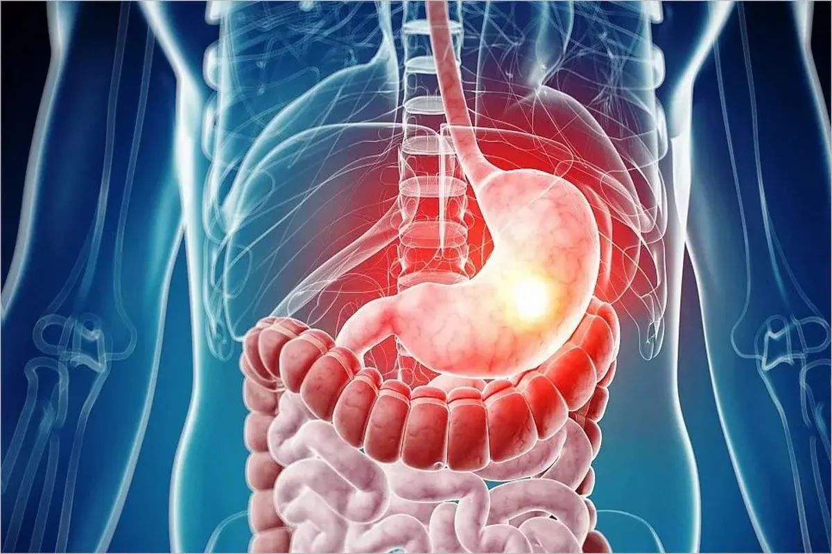  دكتور يوسف محمد خضر 