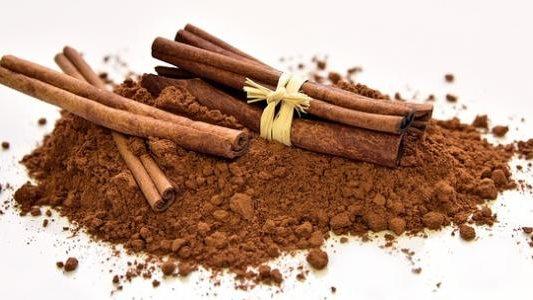 كوب شاي القرفة الساخن مع أعواد القرفة