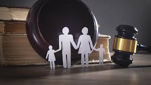 المستشار محمد شاهين يقدم استشارة قانونية متخصصة في قضايا الأحوال الشخصية