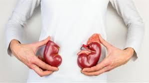 أطعمة طبيعية تدعم صحة الكلى وتحافظ على وظائفها