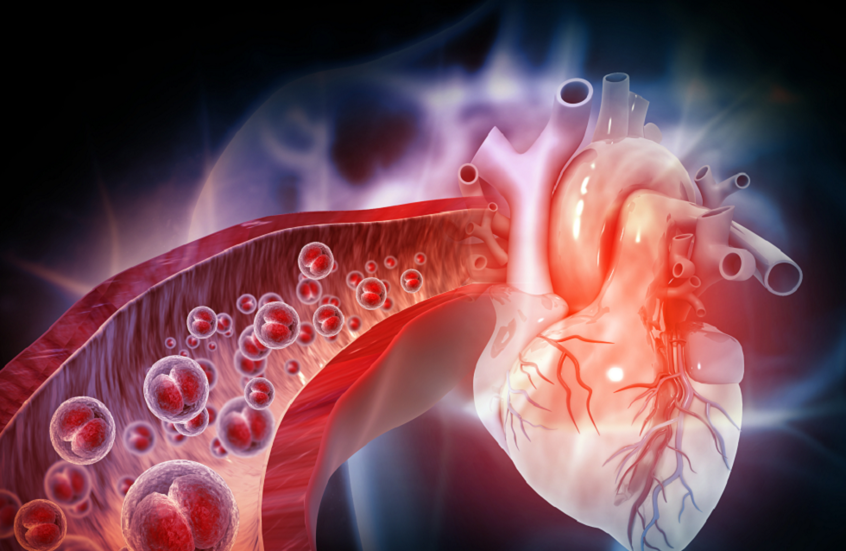 Hypertension Specialist New Cairo