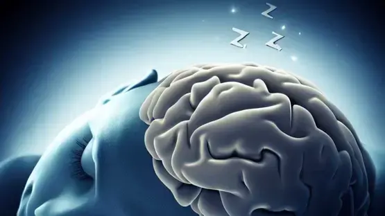 دراسة تظهر دور الأحلام في حل المشكلات أثناء النوم