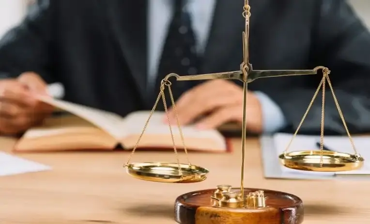 المستشار ناصر الضوي