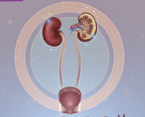 أشعة مقطعية على المسالك البولية في مركز ابن سينا لإمبابة