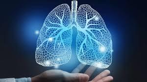 نموذج مصغر للرئة البشرية على شريحة باستخدام الخلايا الجذعية