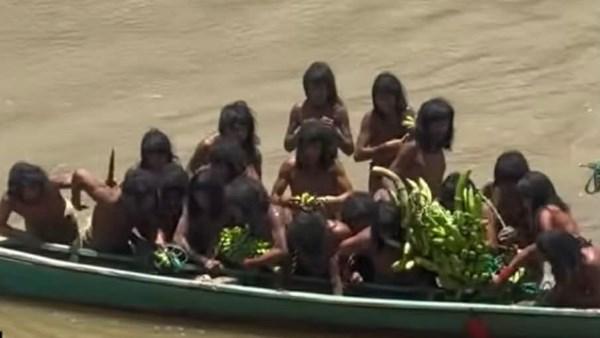 لقطة عالية الجودة لقبيلة أمازونية معزولة تظهر وهم يخرجون نحو الشاطئ بحذر