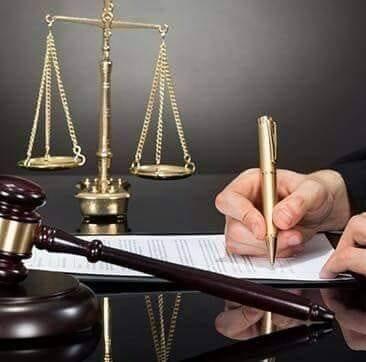 المستشار محمد فاروق محمود الخطيب