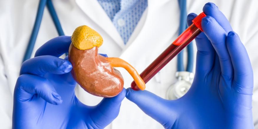 توضيح طبي لمستويات البوتاسيوم في الدم وتأثيرها على مرضى الكلى