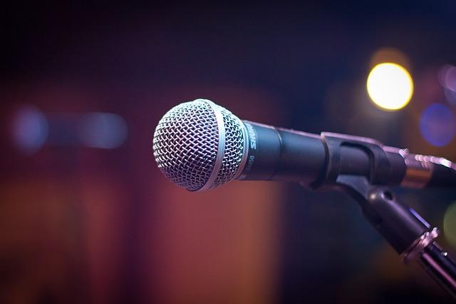 SM58 Microphone
