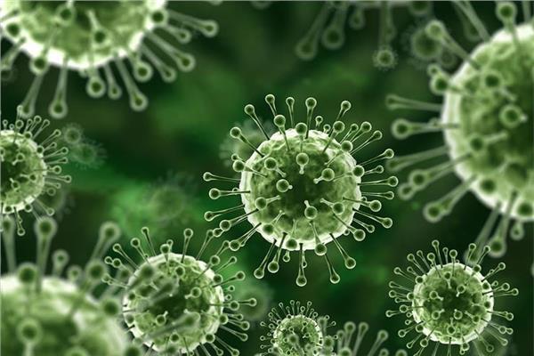 أعراض فيروس نيباه القاتل وخطورته