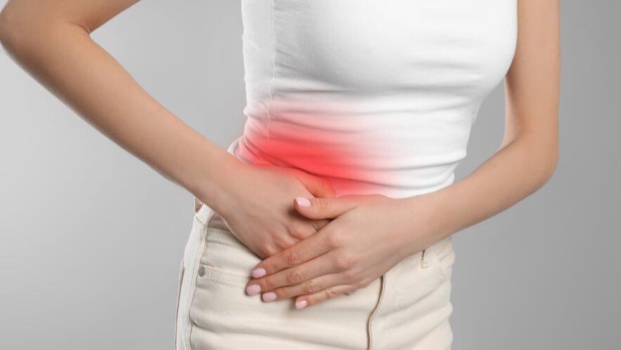 وظائف الزائدة الدودية ودورها في دعم المناعة وصحة الأمعاء