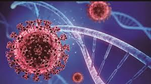 تراجع معدلات التطعيم في ولاية أمريكية وتحذيرات صحية