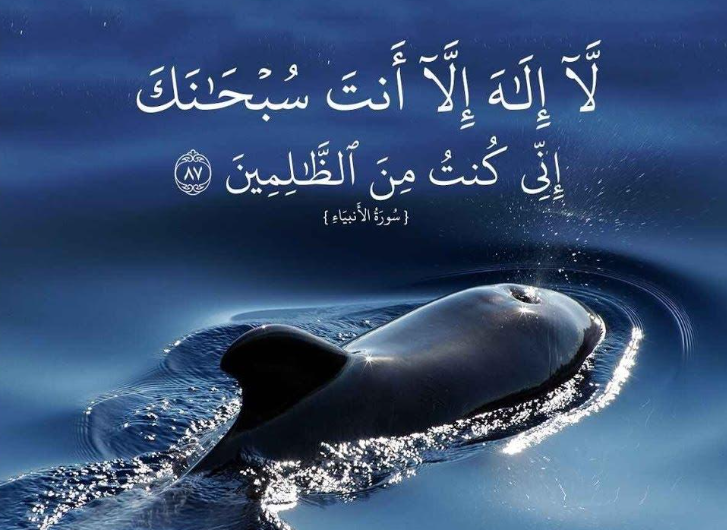 سيدنا يونس