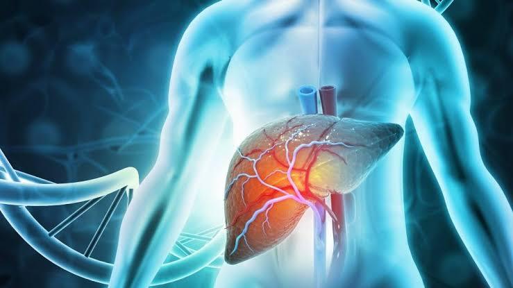 Liver Function Test Liver Function Test