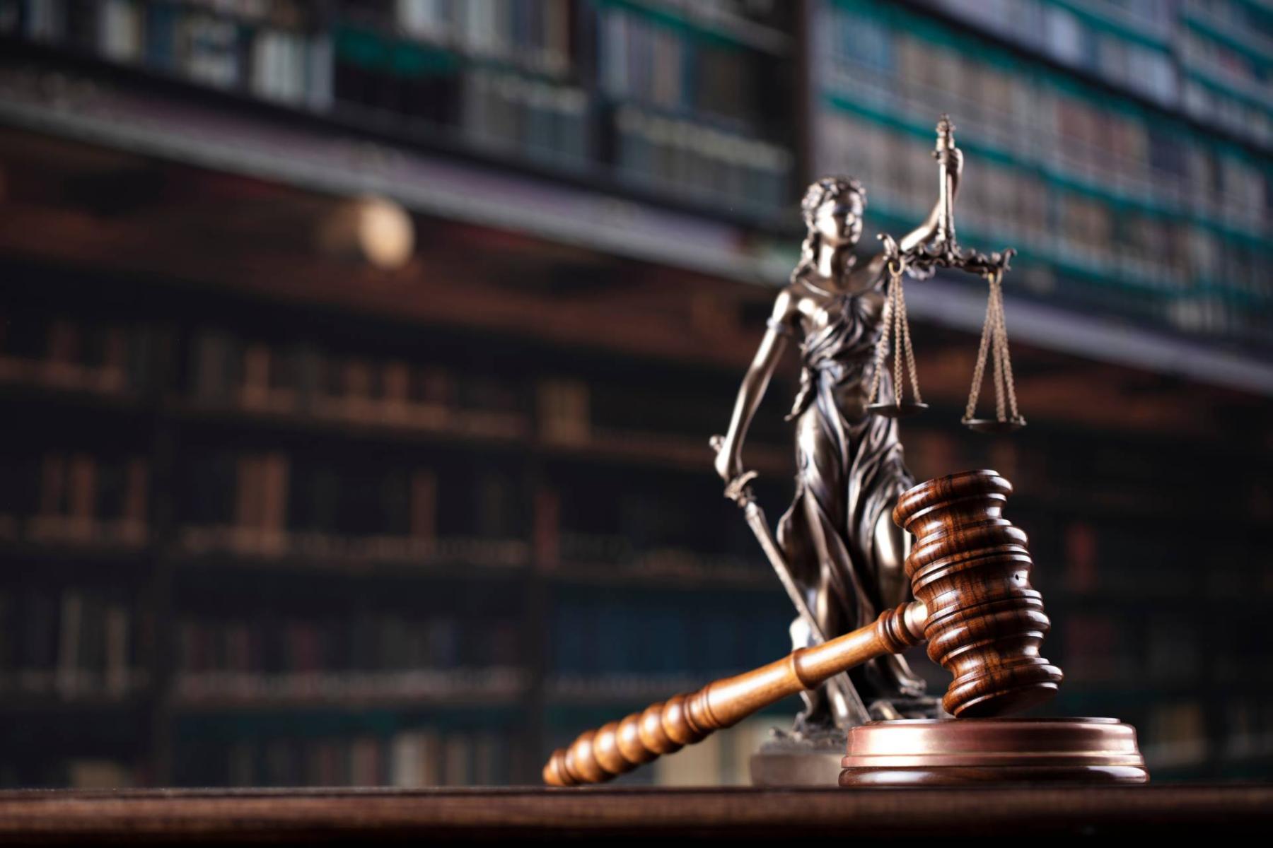 Legal consultations