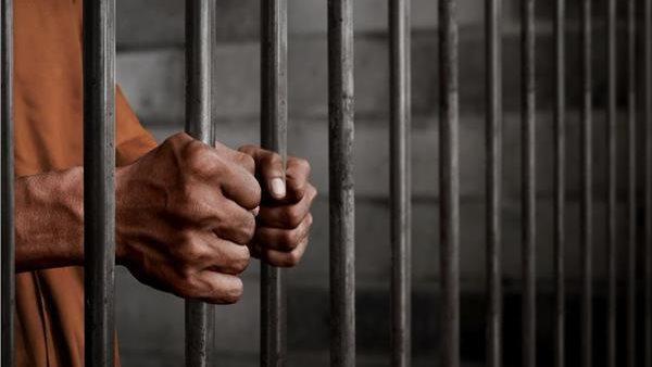 المستشار شريف سلام محامي قضايا الأسرة في الجيزة متخصص في الطلاق والخلع والنفقة والحضانة