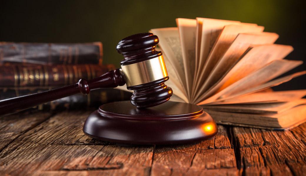 Mohamed Kotb Legal Work