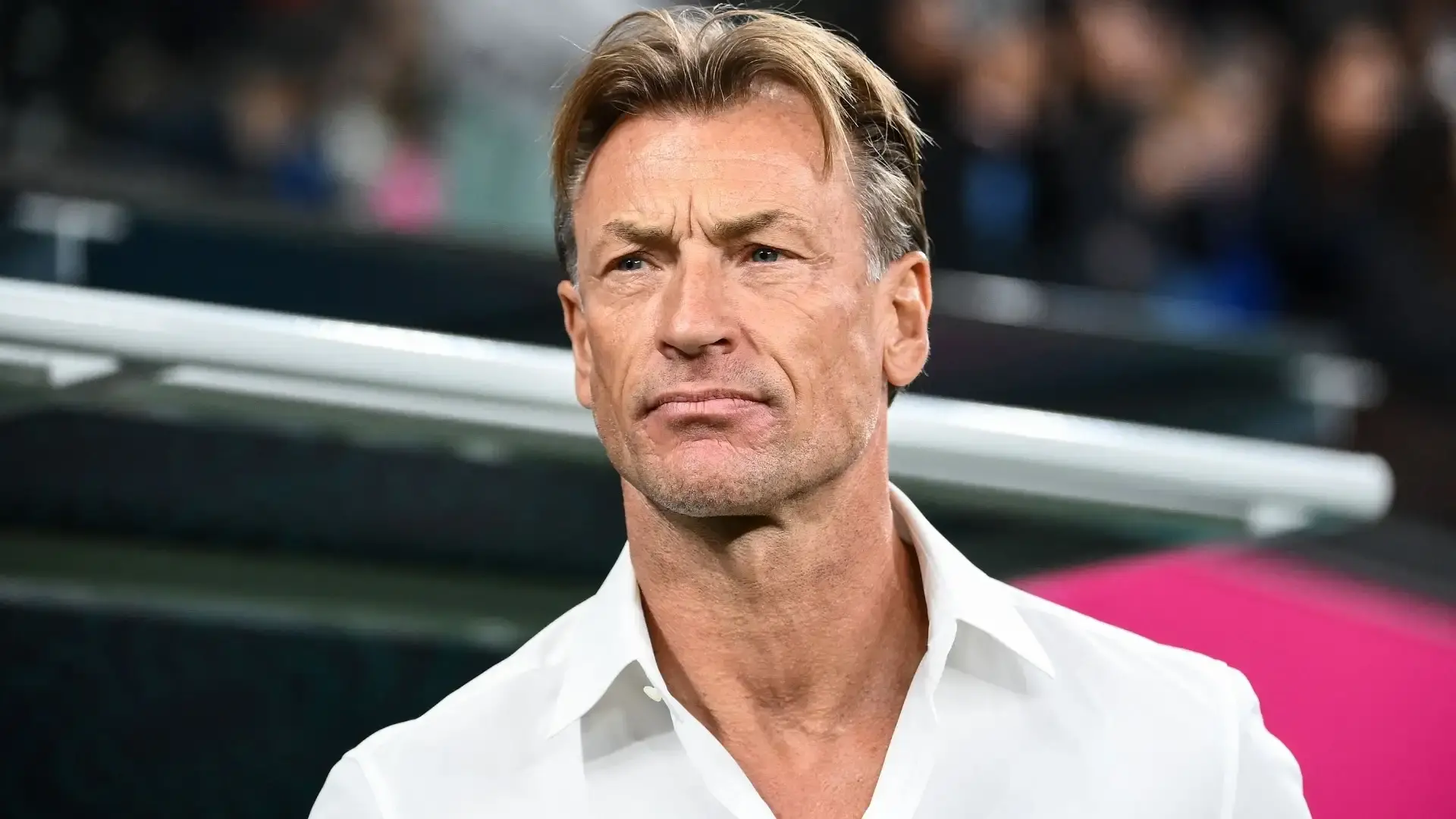 هيرفي رينارد خلال مواجهة سابقة أمام منتخب مصر