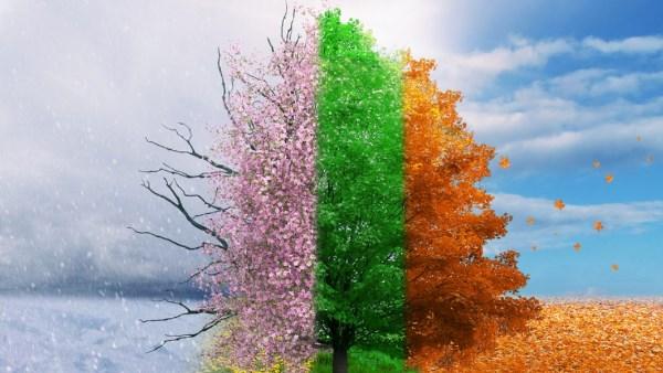 تقلب الفصول والمطر آيات كونية واستجابة الدعاء وقت نزول المطر