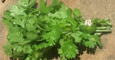 مجموعة من الخضراوات والبقوليات الغنية بالحديد