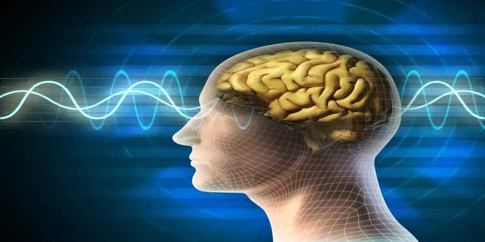 صيام صحي وتأثيره على وظائف الدماغ والذاكرة